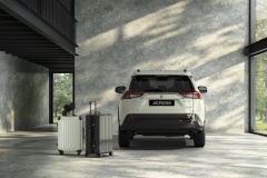 Suzuki-Across11
